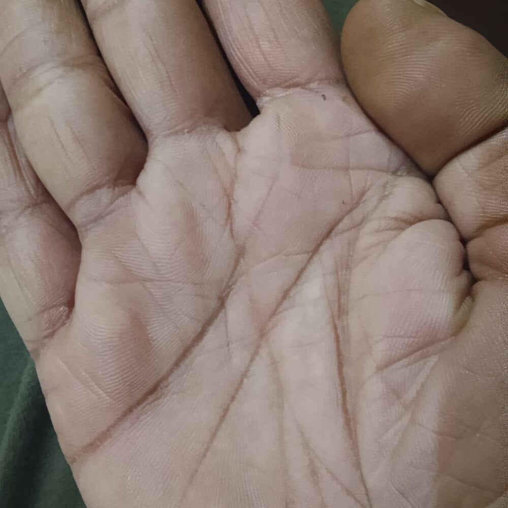 TheGentselect Chatroom