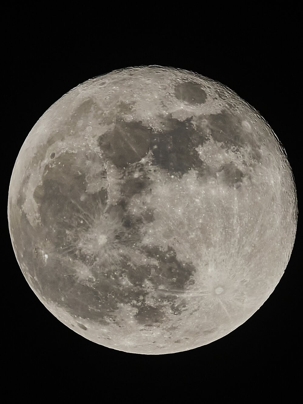 Tommystrauch Chatroom