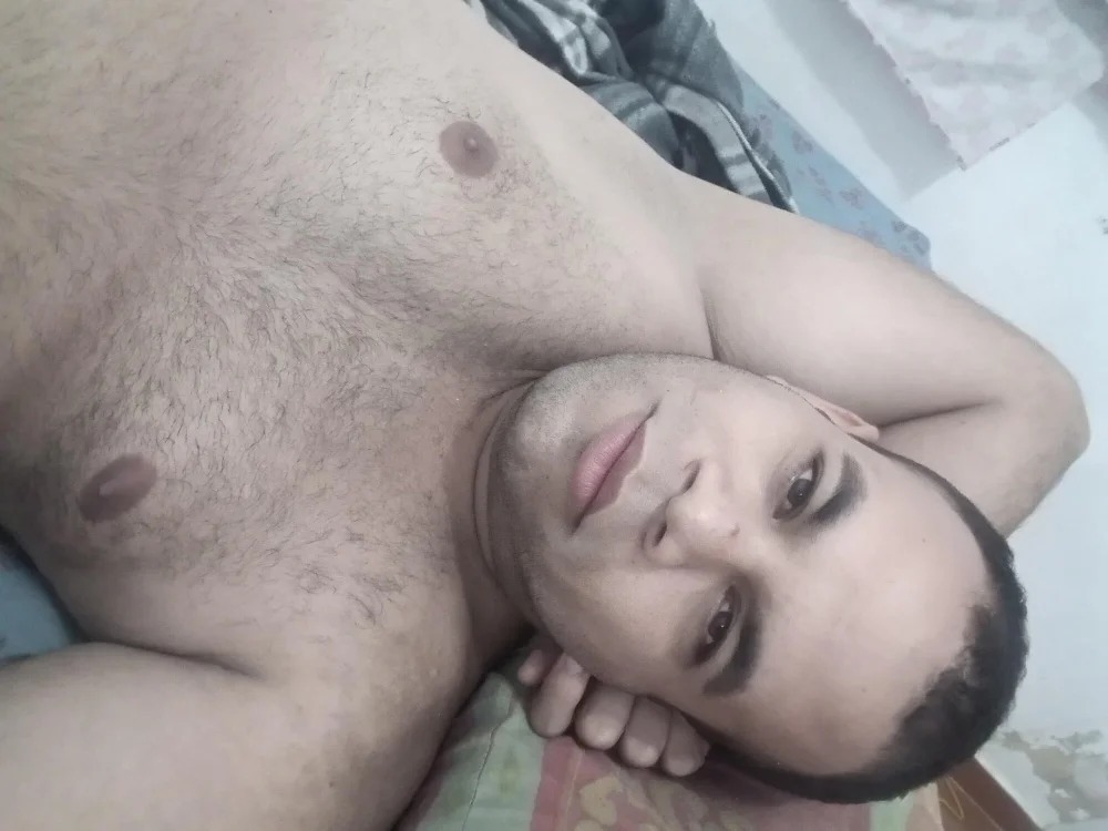 TonyCubBear Chatroom