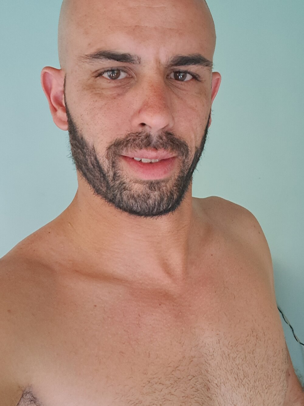 TootingFigment Chatroom