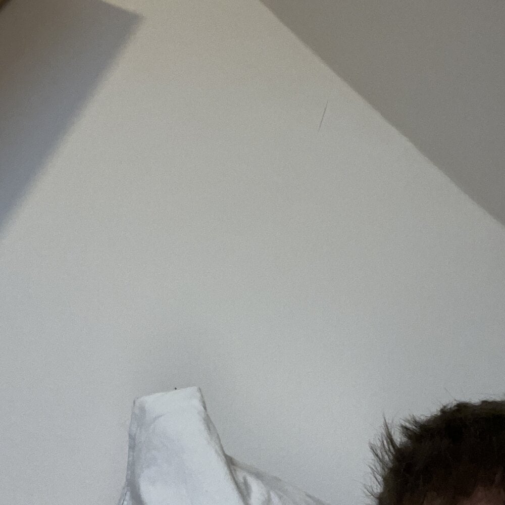 Turboboy12345 Chatroom