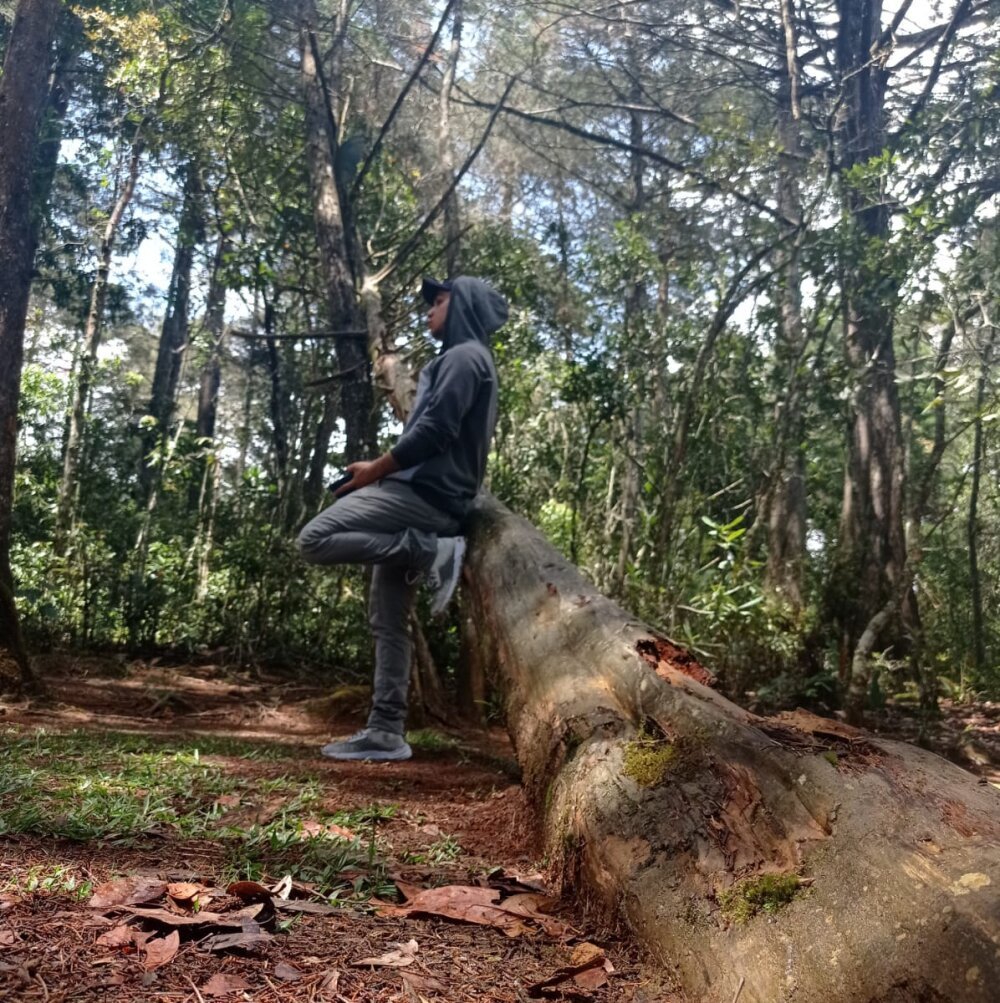 UmamiPorcus Chatroom