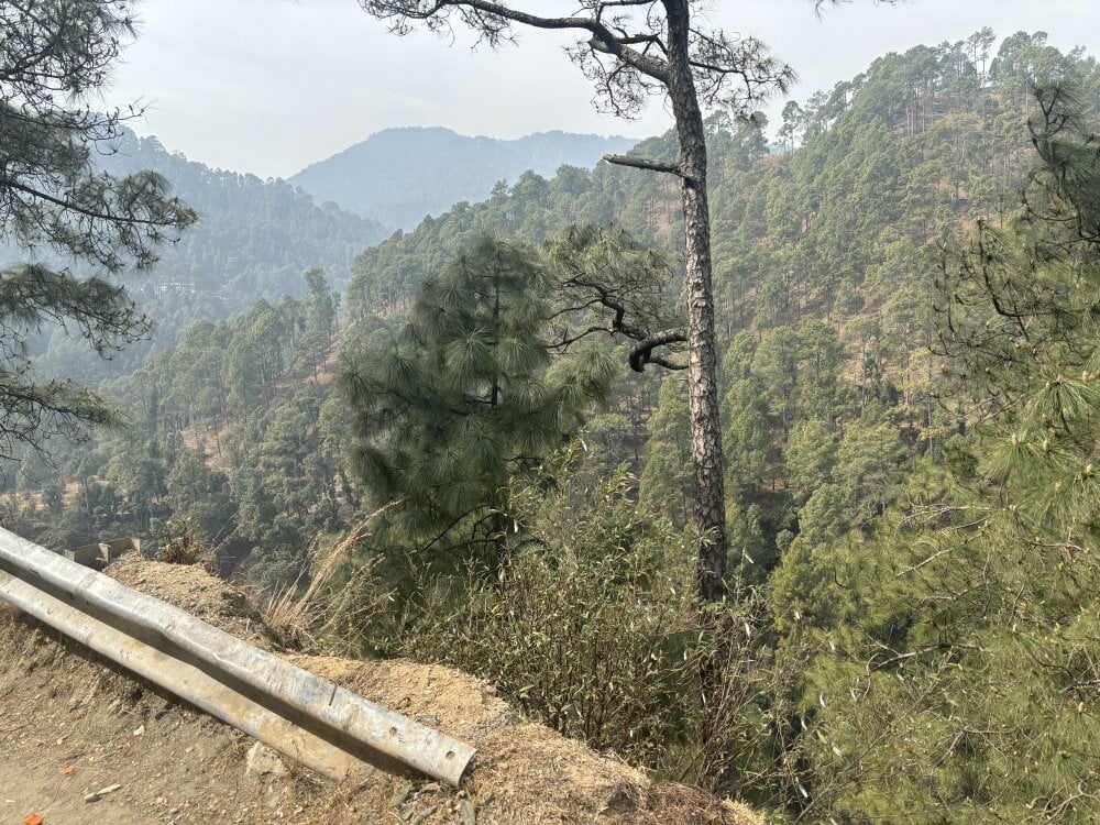 UniqueMagnet19 Chatroom