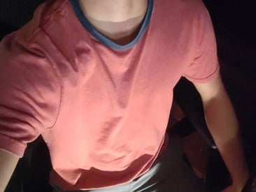 vikernescam