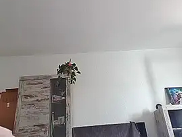 virgindick38