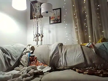 vixygang