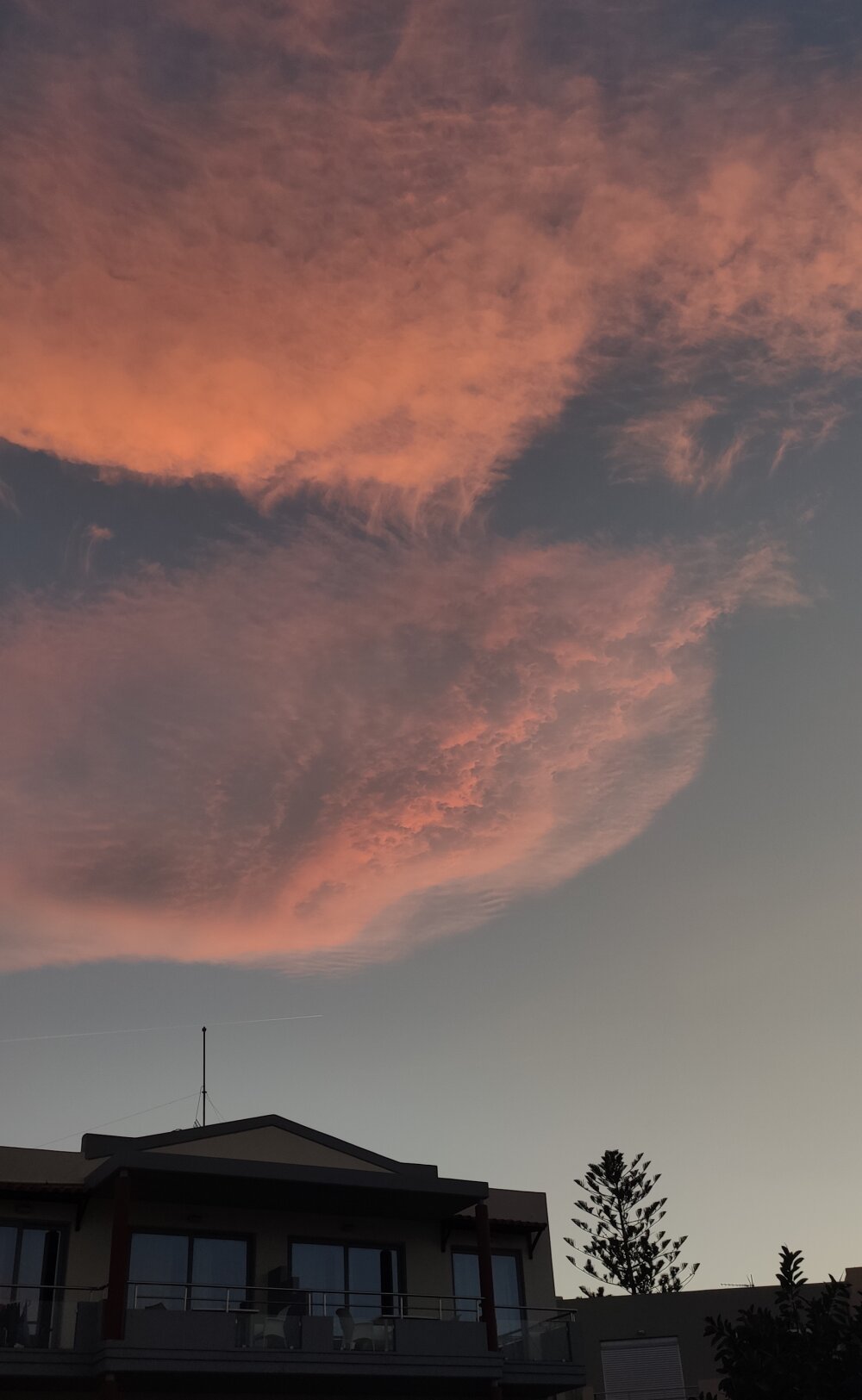 WetDickAllDay Chatroom