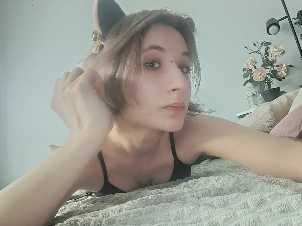WickedPaws Chatroom