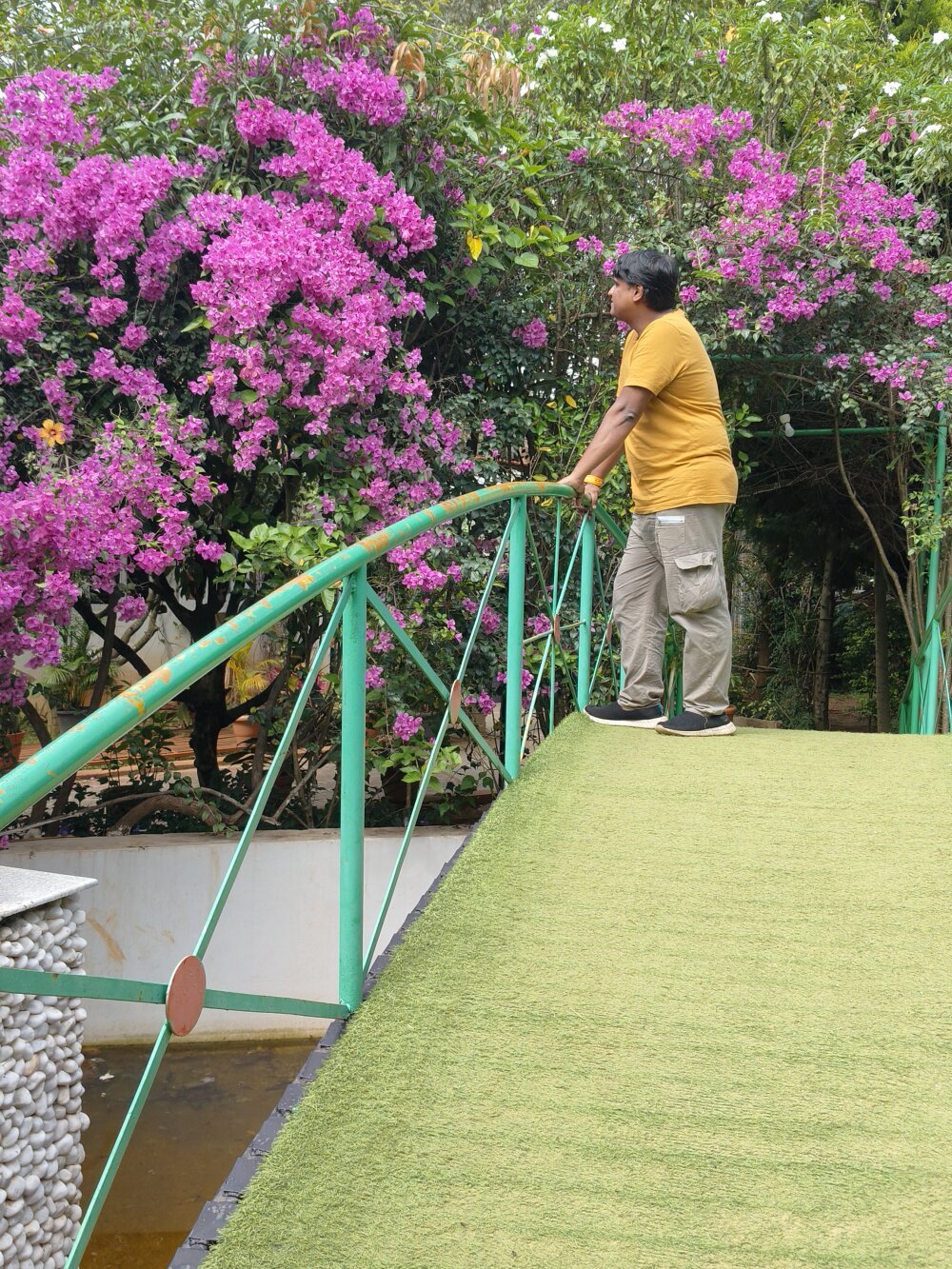 WickedSunny25 Chatroom