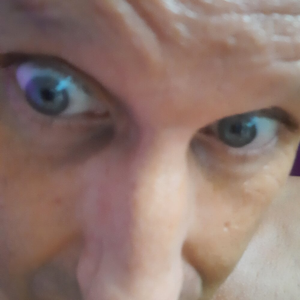 Wilderstier79 Chatroom