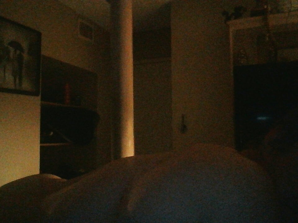 WolvesRising69 Chatroom