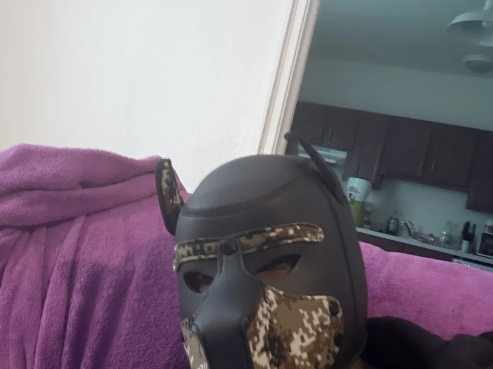 YaBoyTJ Chatroom