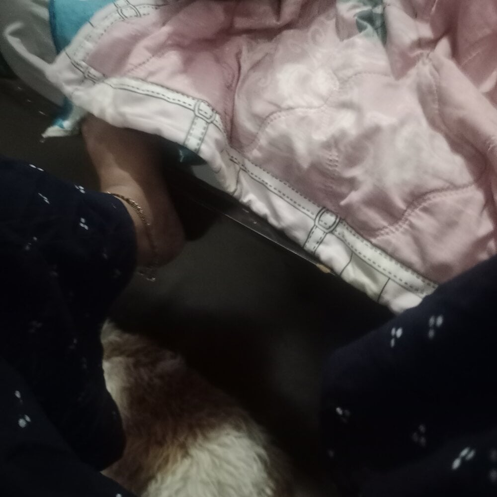 Your___Moonlight Chatroom