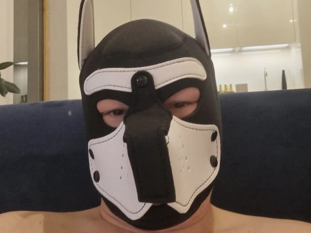 ZKO_Bull Chatroom