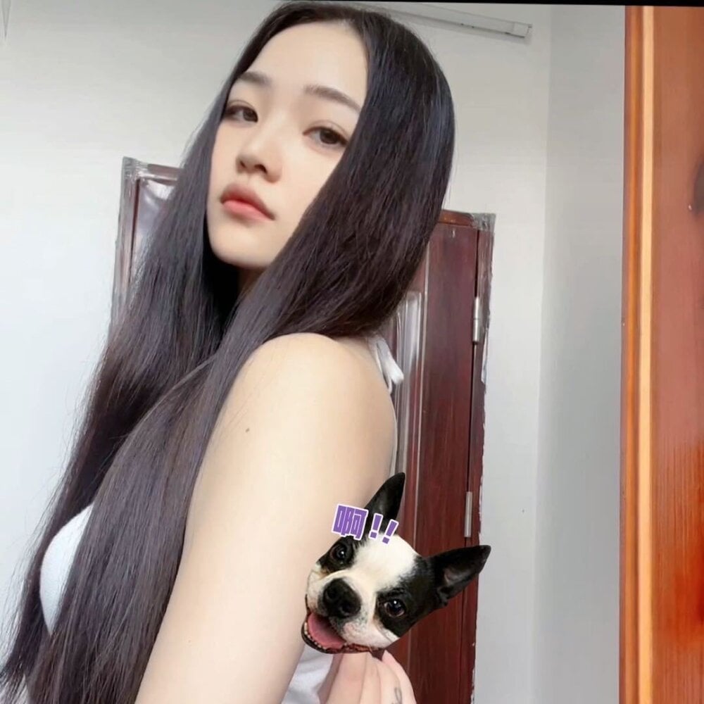 Zhao-Zhao-D Chatroom