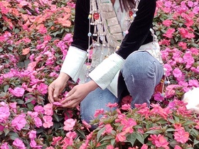 petite