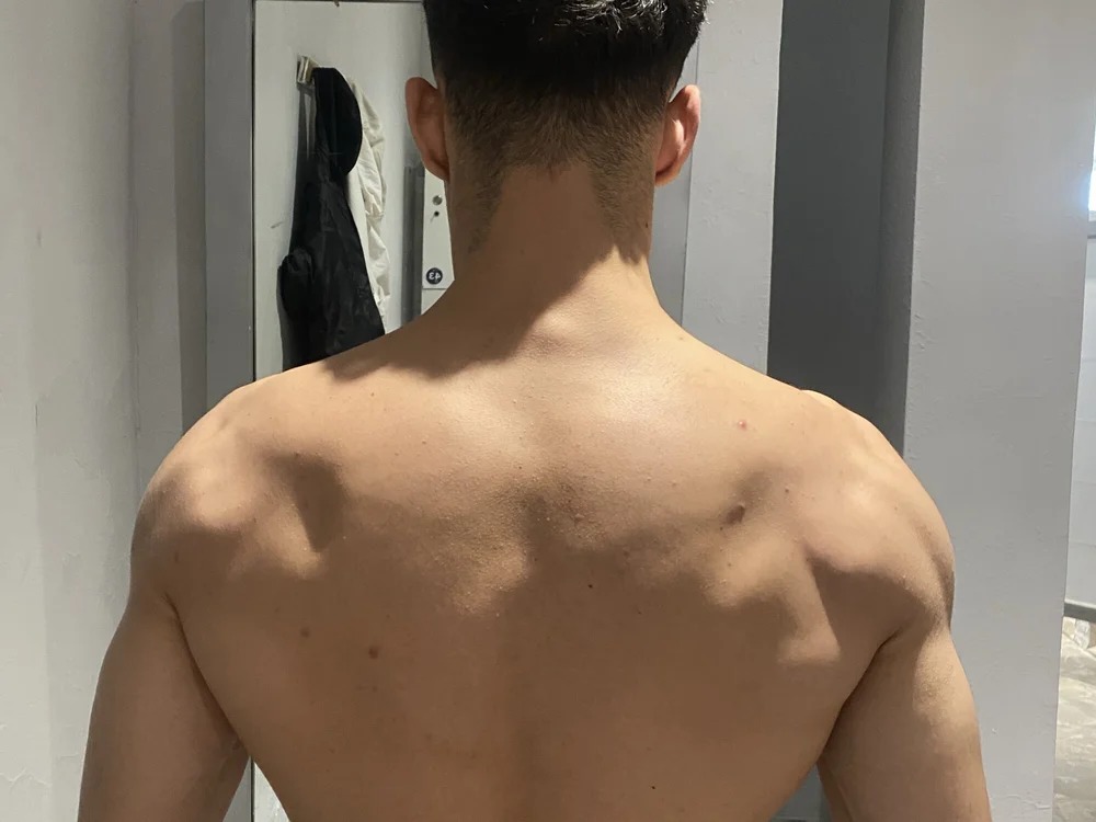 alextn22 Chatroom