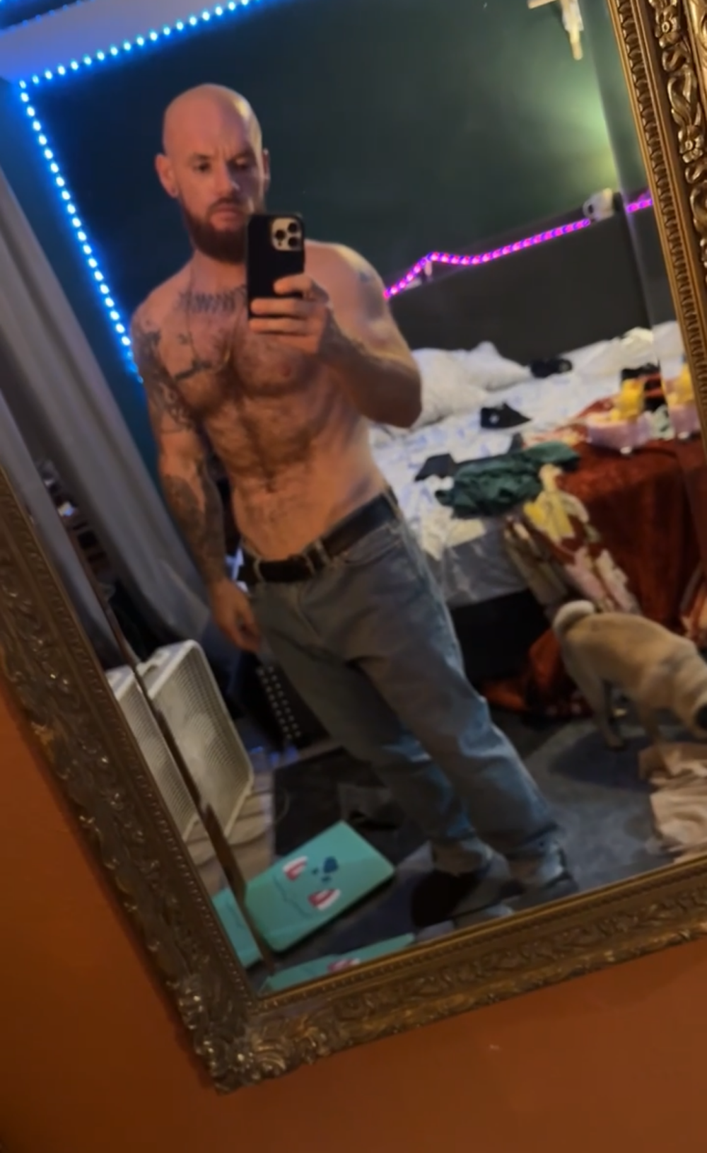 bearcub300 Chatroom