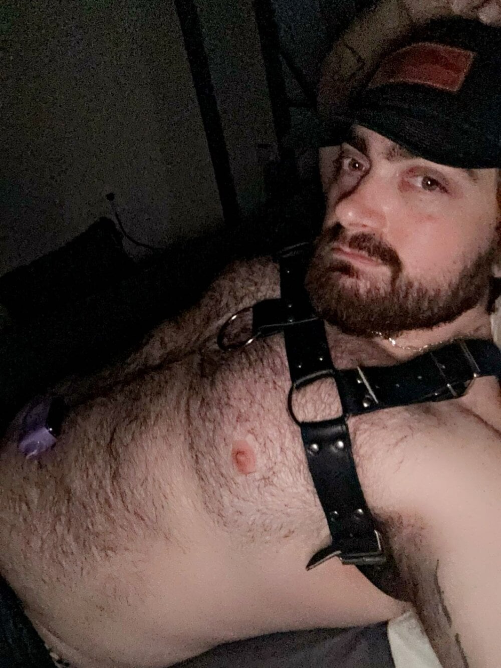 bearymikeyy Chatroom