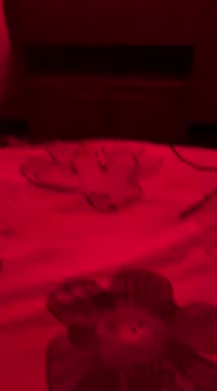 bianxiaomeng Chatroom