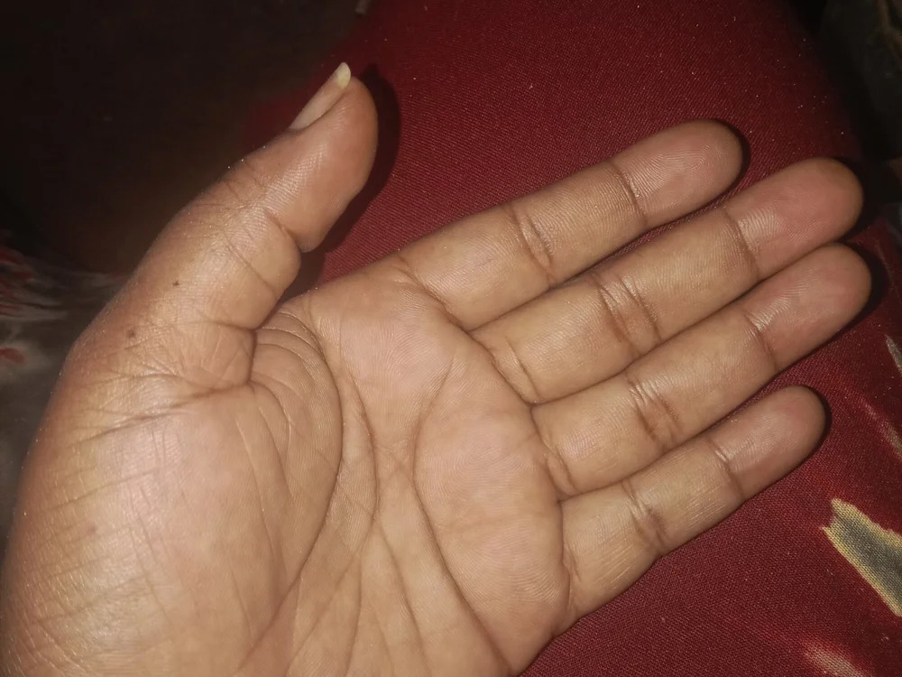 bigblackdick31 Chatroom