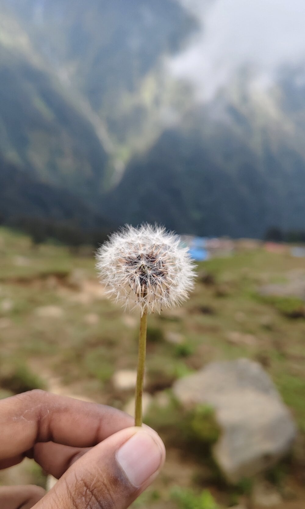 bigdick2299 Chatroom