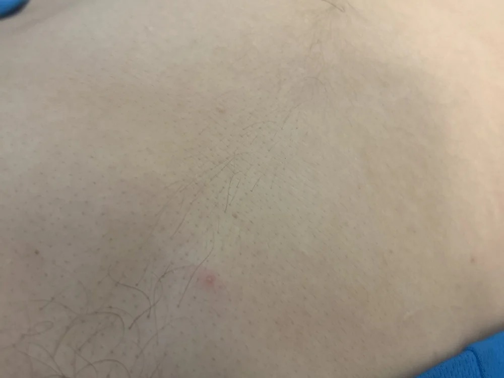 bigdickcam33 Chatroom