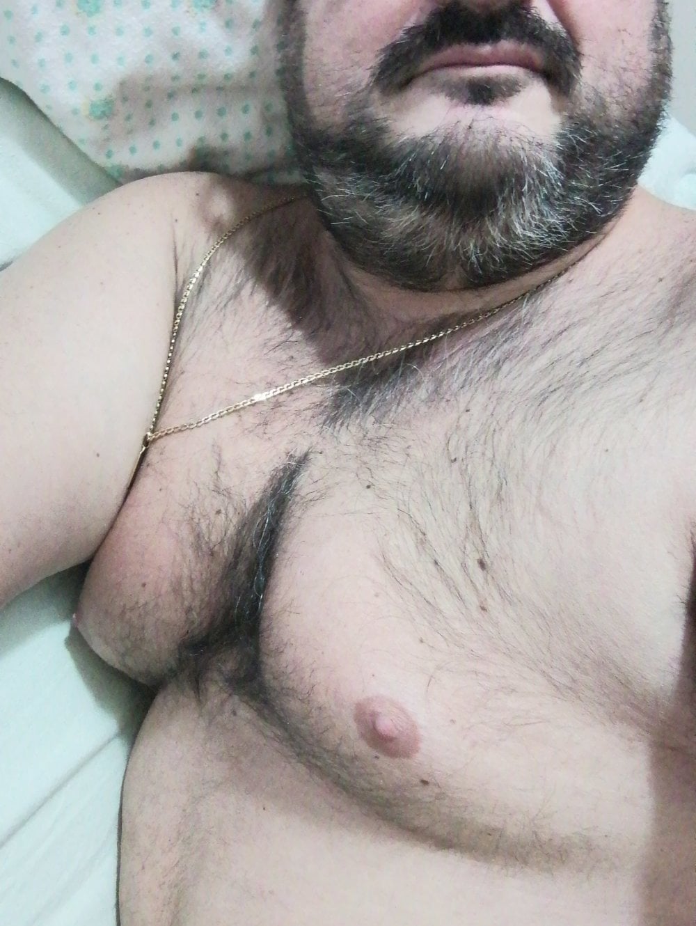 bigfish2222 Chatroom