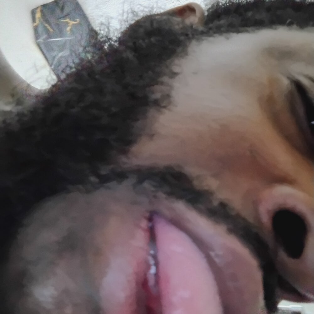 biggdoggent Chatroom