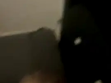 blackcatoptik