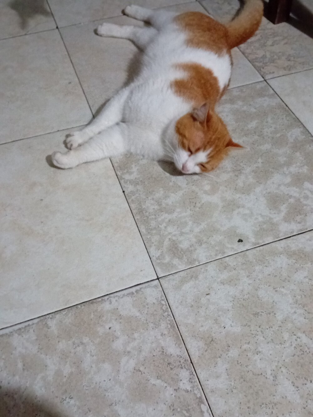 blackman933z Chatroom