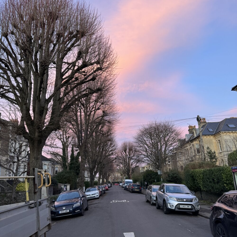 bussy_lana234 Chatroom