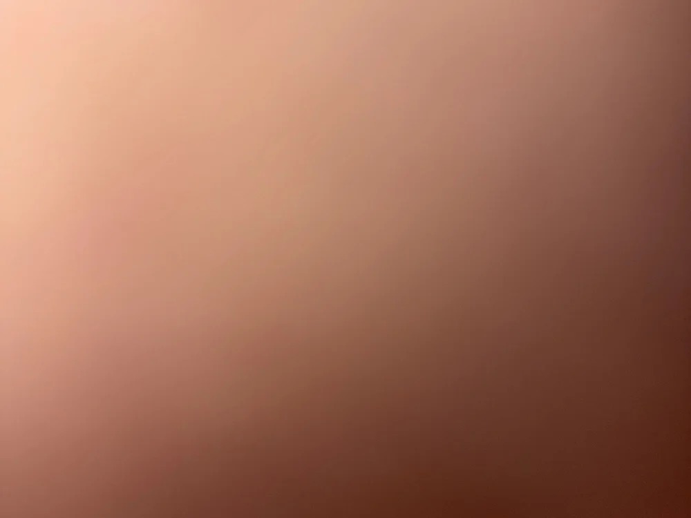 bust_a_nut35 Chatroom