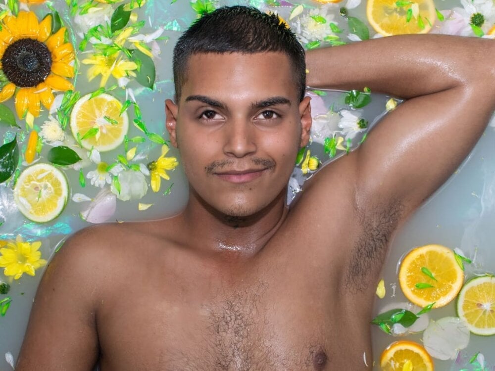 celestederek Chatroom