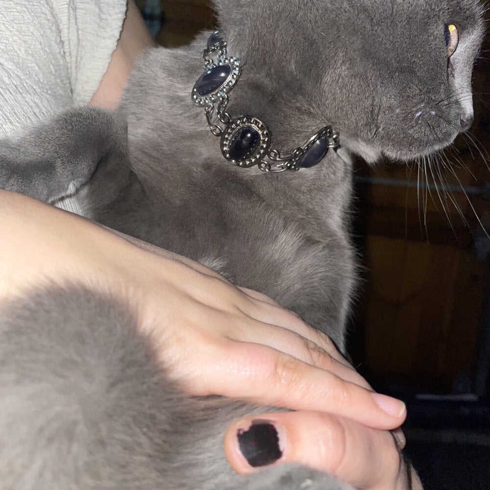 chaton_blanche Chatroom