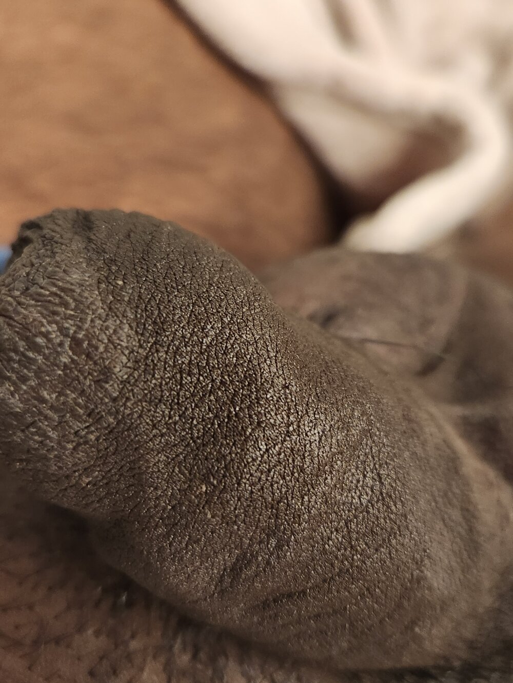 crazygu14456 Chatroom