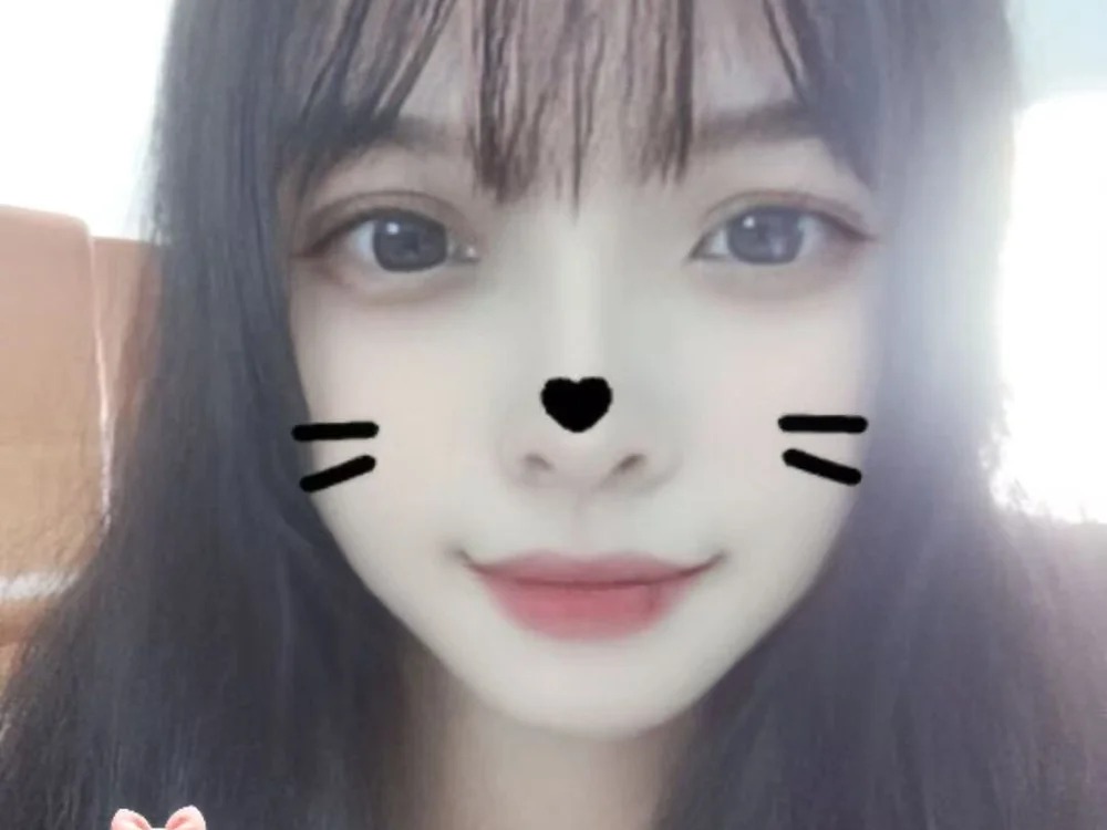 cutepets1 Chatroom