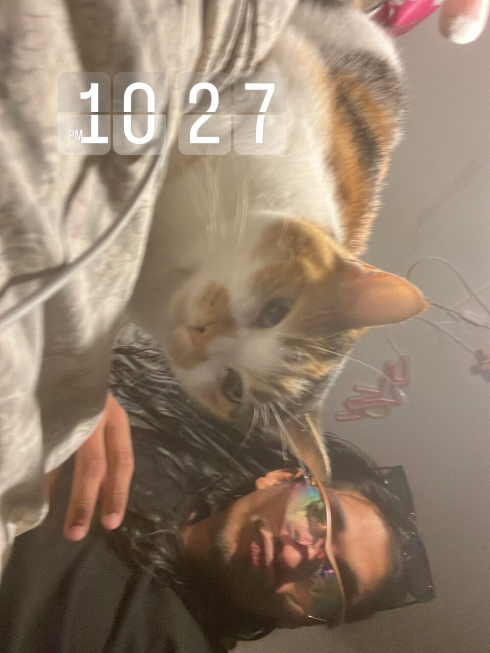 dangelosinzhz Chatroom