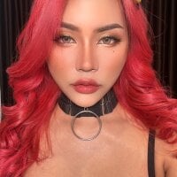 darkrabbithouse Chatroom