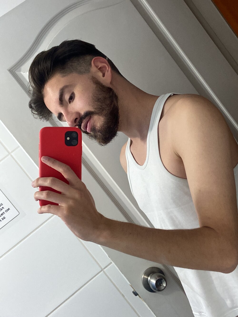 dearwishel97 Chatroom