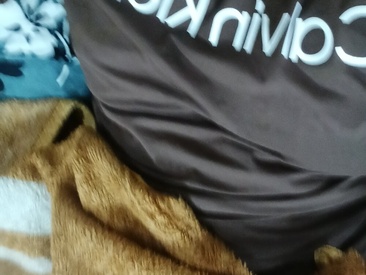 dollyneh