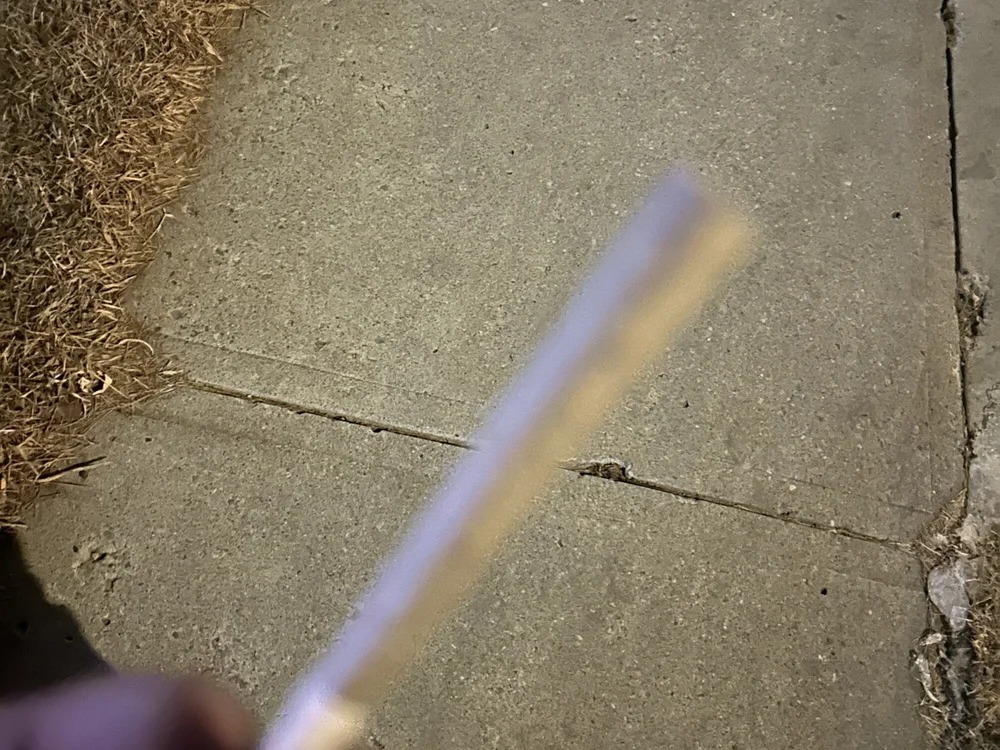 dsddy1912 Chatroom