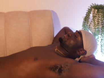 eebony-stallion