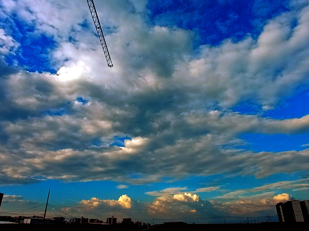 elVector505 Chatroom