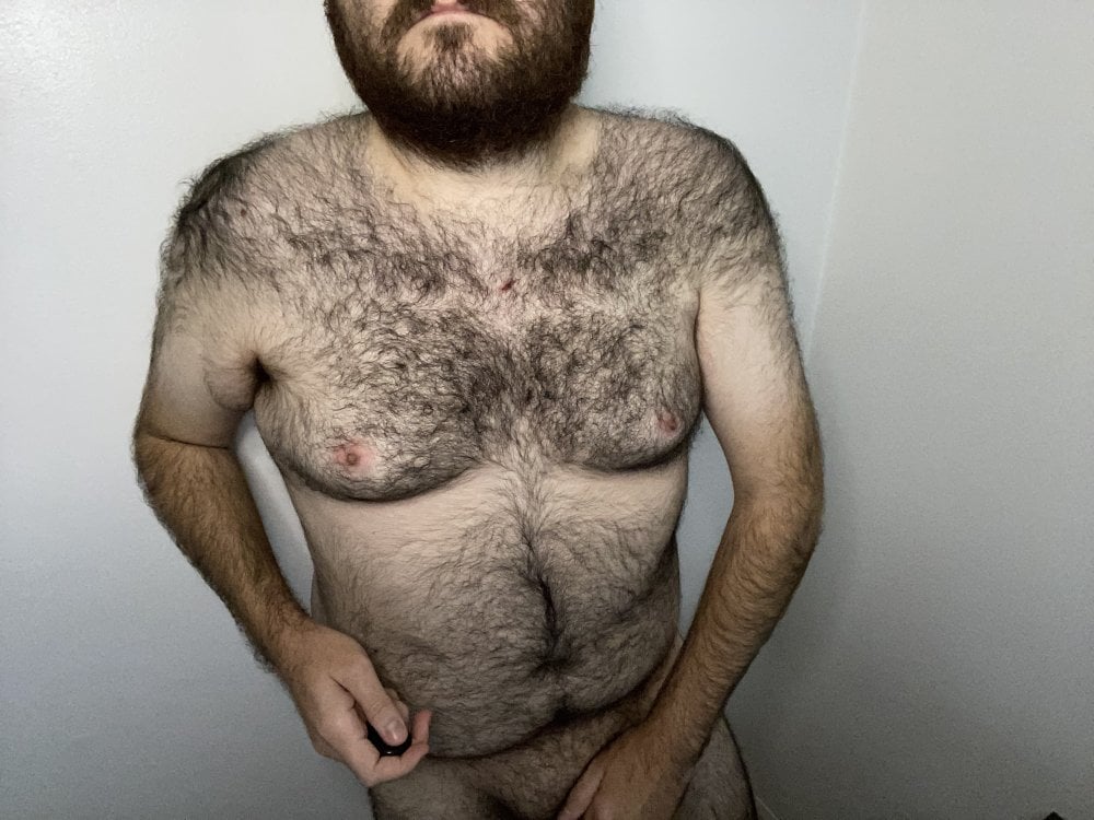 elagobear Chatroom