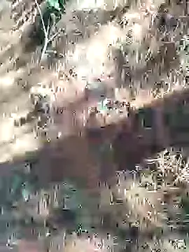 elnepepe001 Chatroom