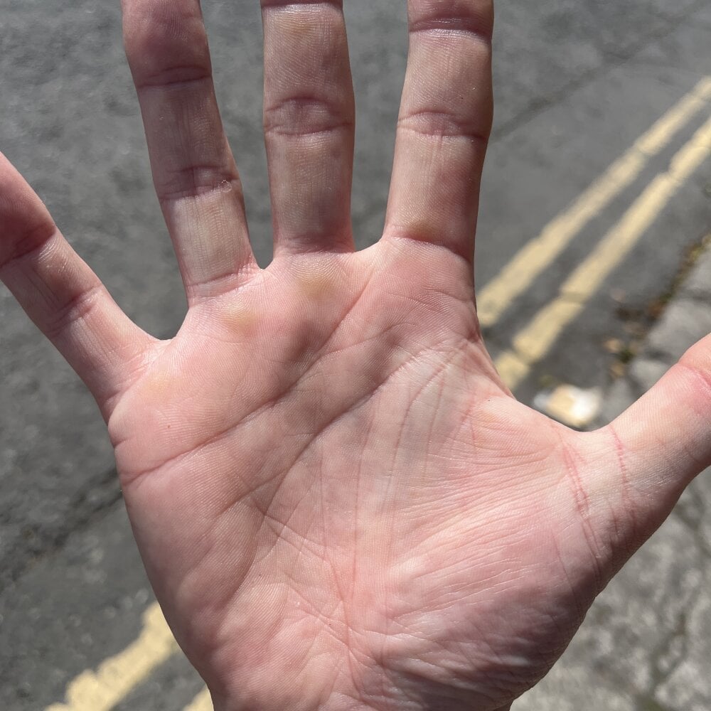 elpequeysurabo Chatroom