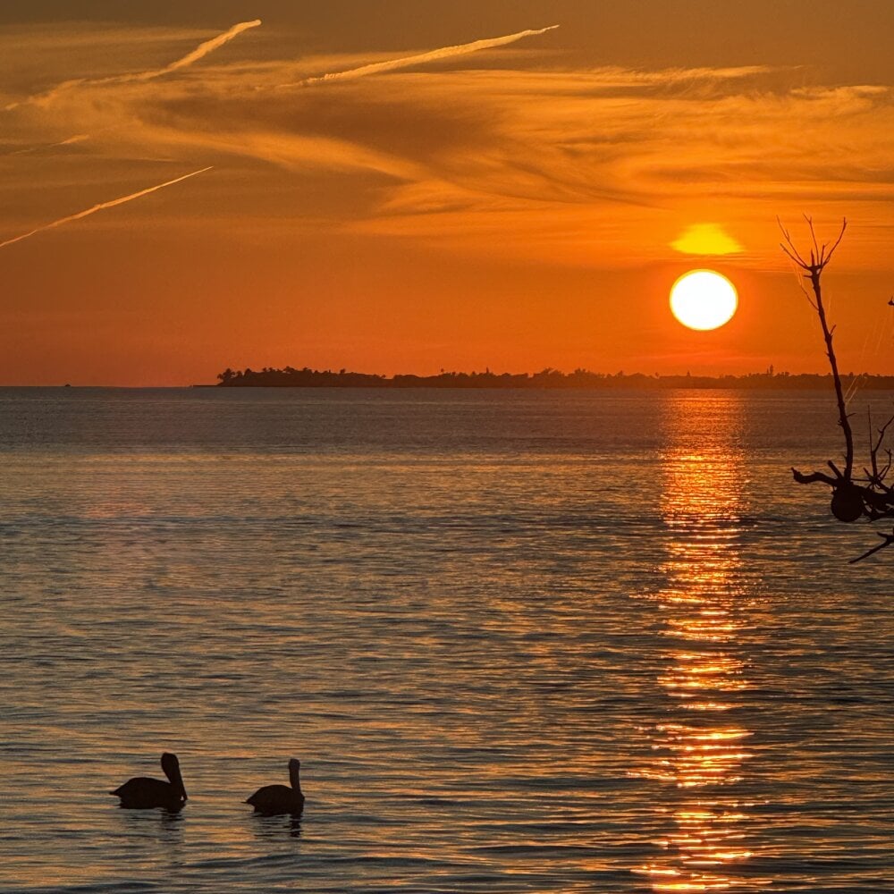 gayteen1234 Chatroom