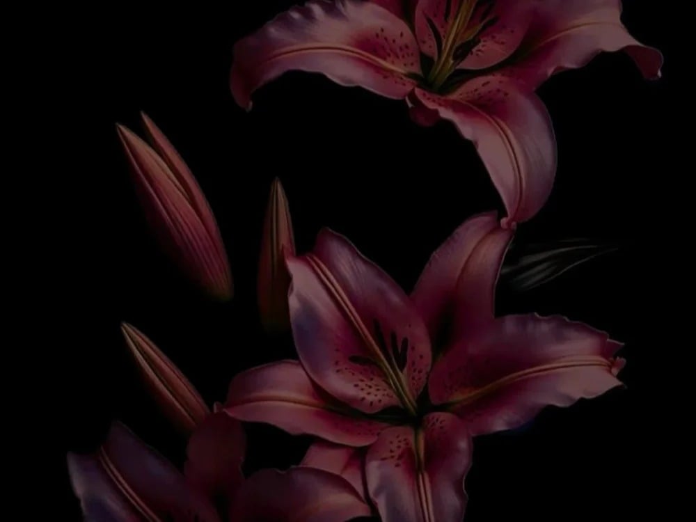 ginburn Chatroom