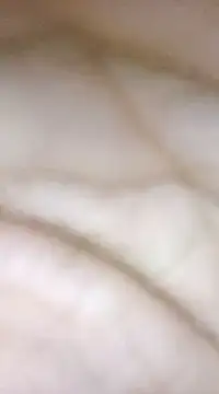 goodbtmlistentop Chatroom